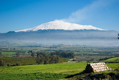 Démarrage des vendanges sur l’Etna dans les vignes de Reseca, "le Clos qui Touche le Ciel"